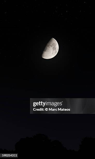 crescent moon - marc mateos stock pictures, royalty-free photos & images