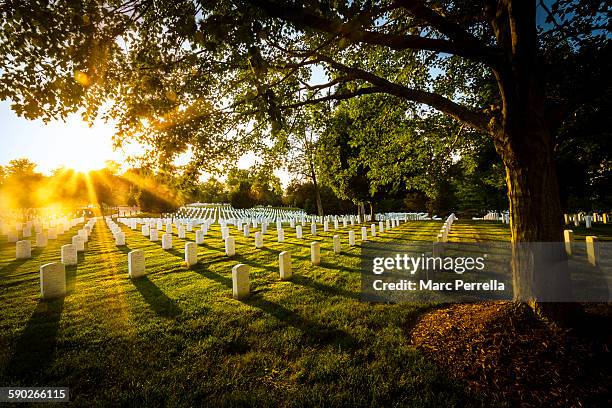 arlington sunset - arlington national cemetery stockfoto's en -beelden