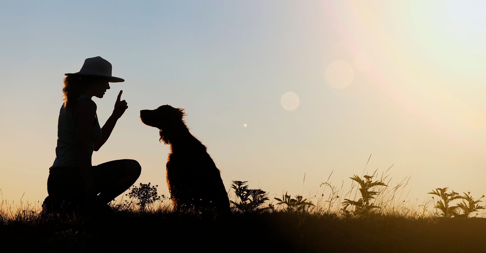 Dog training silhouette Dog training silhouette