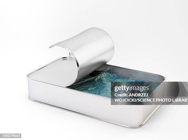 sustainable fishing, illustration - sardine can stock illustrations