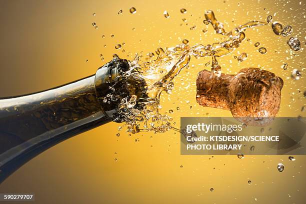 champagne bottle and cork - kurk drankenbenodigdheden stockfoto's en -beelden