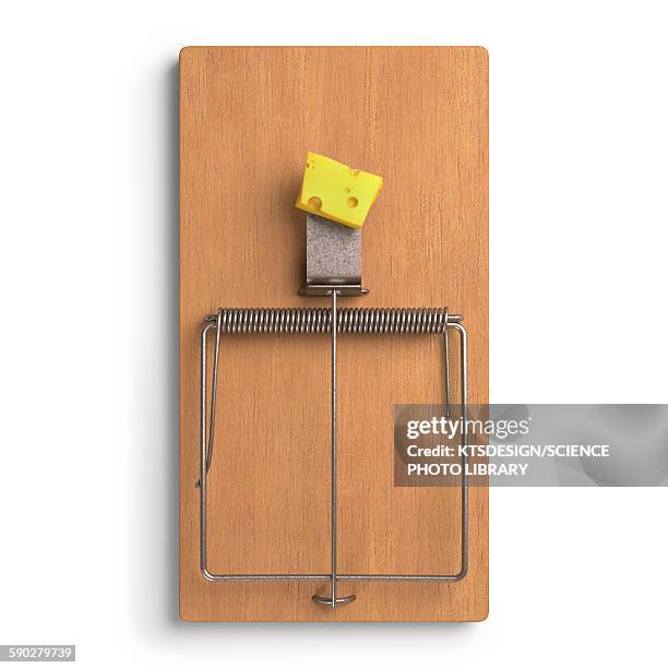 mousetrap with cheese - mousetrap stock pictures, royalty-free photos & images