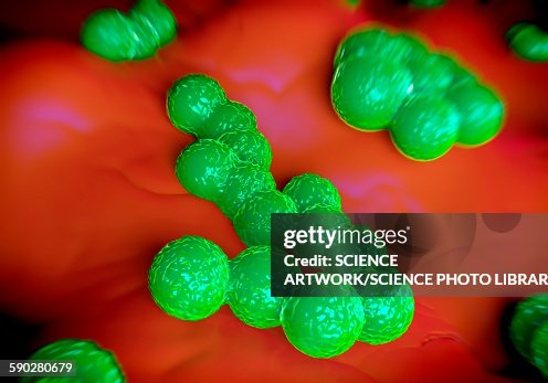 Mrsa Stools Mrsa Bacteria High-Res Vector Graphic - Getty Images