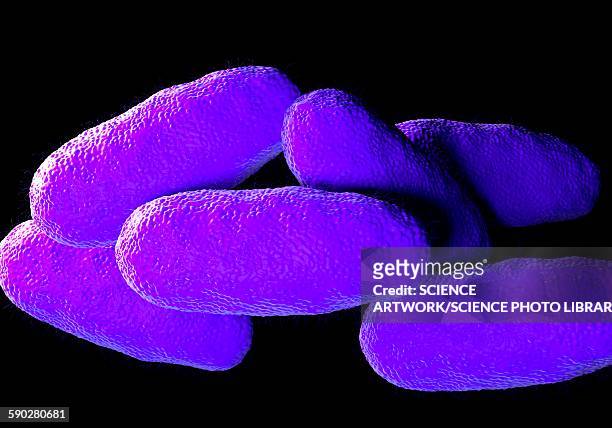 salmonella typhimurium bacteria - salmonella stock illustrations