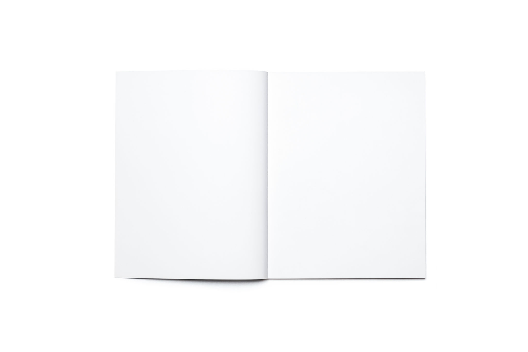 brochure design
