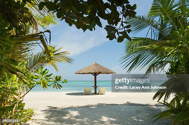 a tropical beach in the maldives - beach shelter stock pictures, royalty-free photos & images