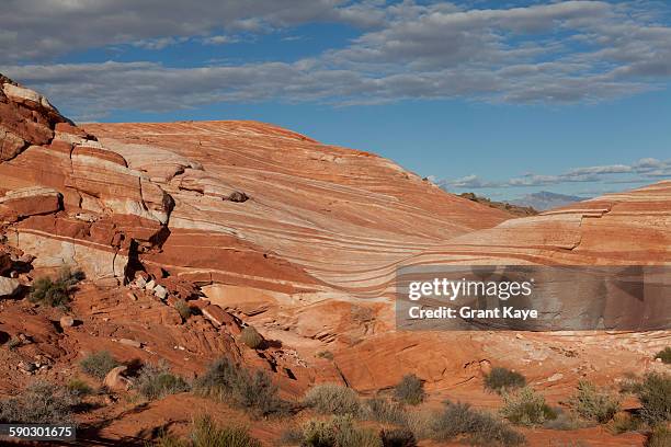 landscapes of valley of fire state park, nv - valley of fire state park stock pictures, royalty-free photos & images