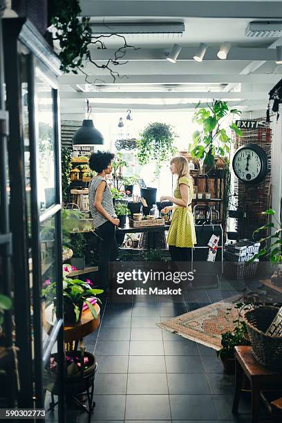 female workers communicating in interior design shop - terrarium photos et images de collection