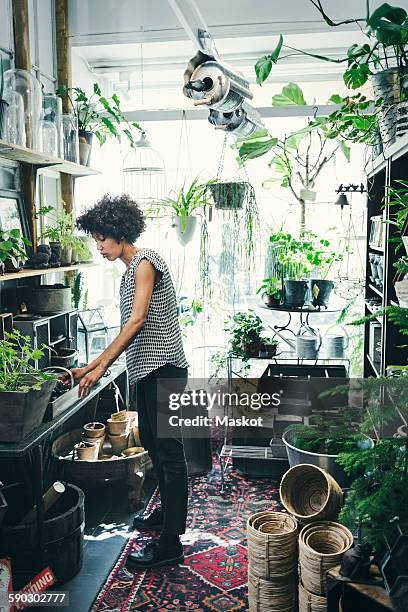 full length of female worker working in interior design shop - terrarium photos et images de collection