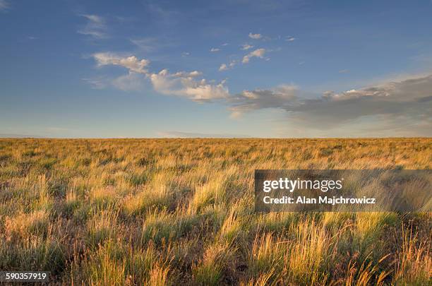 owyhee desert prairie - プレーリー ストックフォトと画像