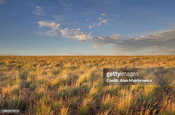 owyhee desert prairie - prairie stockfoto's en -beelden