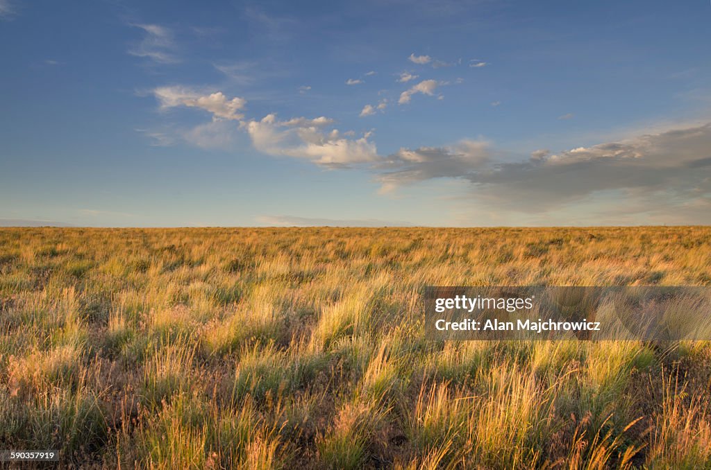 Owyhee Desert prairie