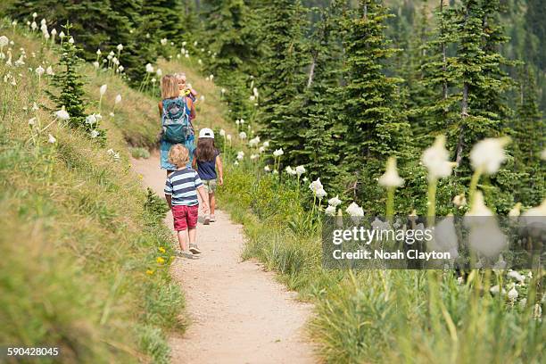 family hiking on trail in summer - whitefish foto e immagini stock