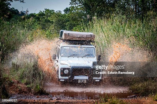 safari splash - 越野車 個照片及圖片檔