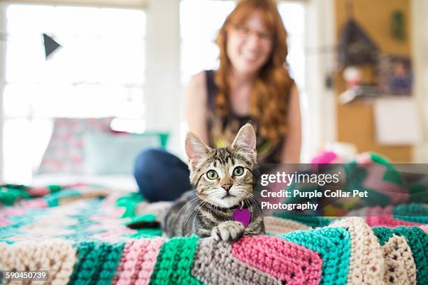 kitten on bed with smiling young woman - cat with collar stockfoto's en -beelden