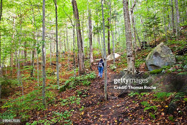 Tupper Photo 217 Tupper Lake Stock Photos, High-Res Pictures, and Images - Getty Images