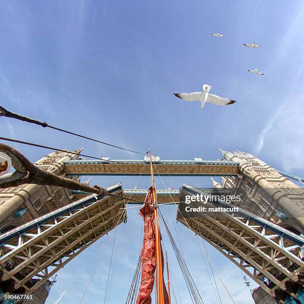 low angle view of boat mast sailing under raised tower bridge, london, england - mattscutt imagens e fotografias de stock