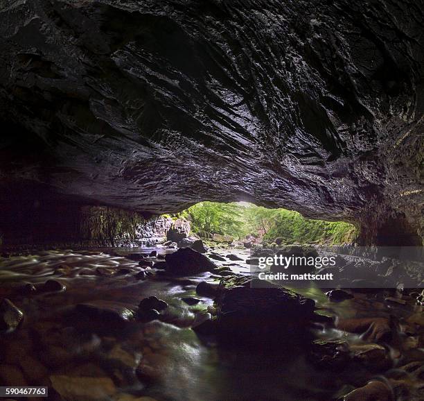 view from within a cave looking out into the daylight, brecon beacons national park, wales, uk - mattscutt stock pictures, royalty-free photos & images