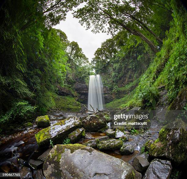 waterfall, brecon beacons national park, wales, uk - mattscutt 個照片及圖片檔