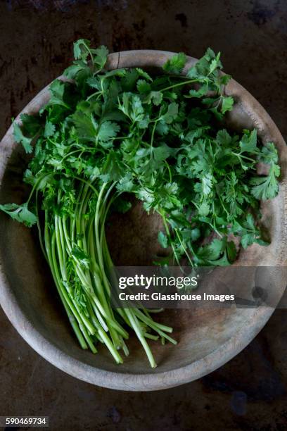 cilantro in wood bowl - コリアンダー ストックフォトと画像