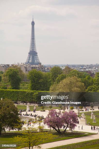 tuileries garden with eiffel tower in background, paris, france - jardín de las tullerías fotografías e imágenes de stock