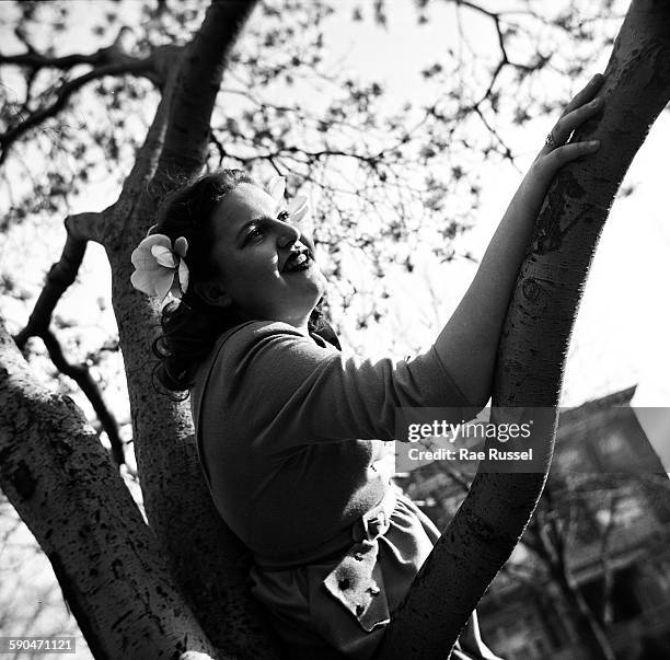 Russel Rae 3,050 Rae Russel Stock Photos, High-Res Pictures, and Images - Getty Images