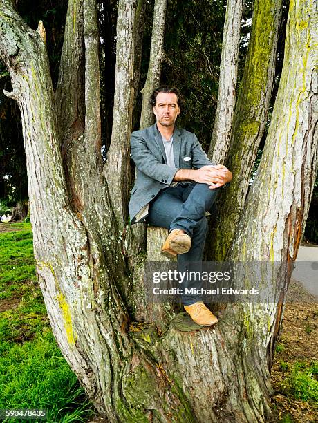 man sitting in tree - michael sit stock pictures, royalty-free photos & images