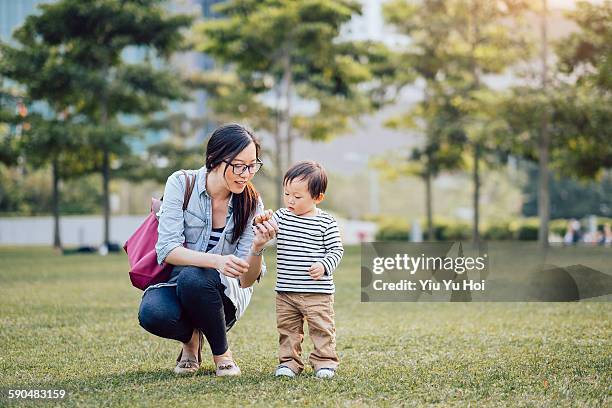 young mum is teaching toddler about nature in park - yiu yu hoi stock pictures, royalty-free photos & images