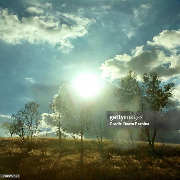 lens flare - santa clarita stock pictures, royalty-free photos & images