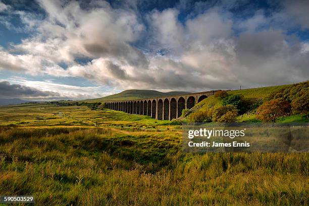 ribblehead viaduct, yorkshire dales national park - norte de yorkshire imagens e fotografias de stock