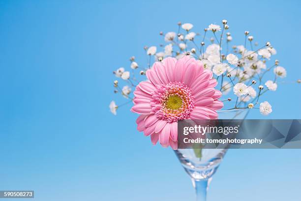 50 Flowr Stock Photos, High-Res Pictures, and Images - Getty Images