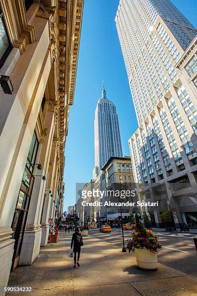 fifth avenue and empire state building, manhattan, new york, ny, united states - fifth avenue stockfoto's en -beelden