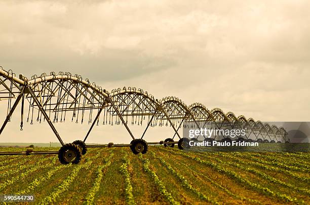 Irrigation at the Soy plantation Fartura Farm, in Mato Grosso state, Brazil. Brazil is the second largest soy producer worldwide.