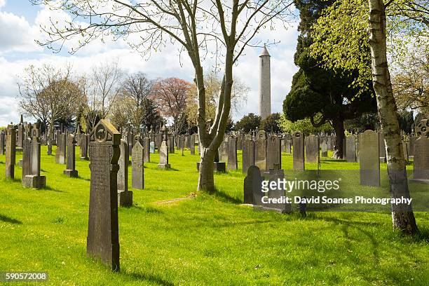 glasnevin cemetery in dublin, ireland - glasnevin cemetery stock pictures, royalty-free photos & images