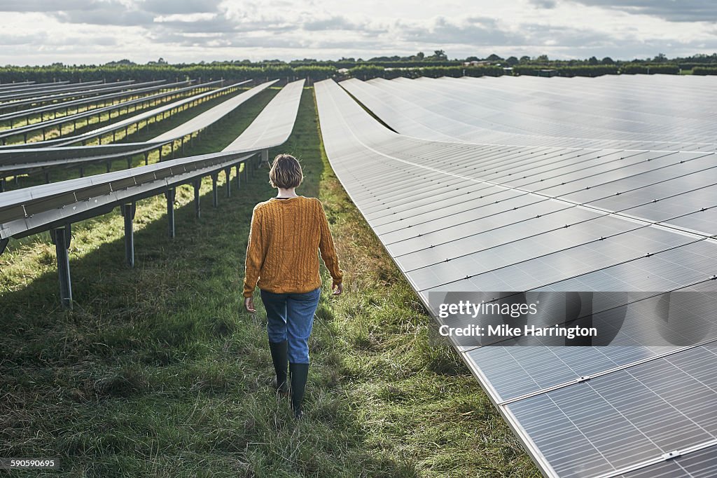Young female farmer walking through solar farm