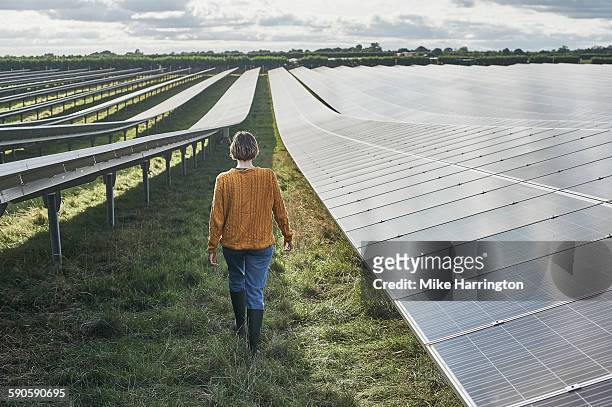 young female farmer walking through solar farm - farmer walking stock pictures, royalty-free photos & images