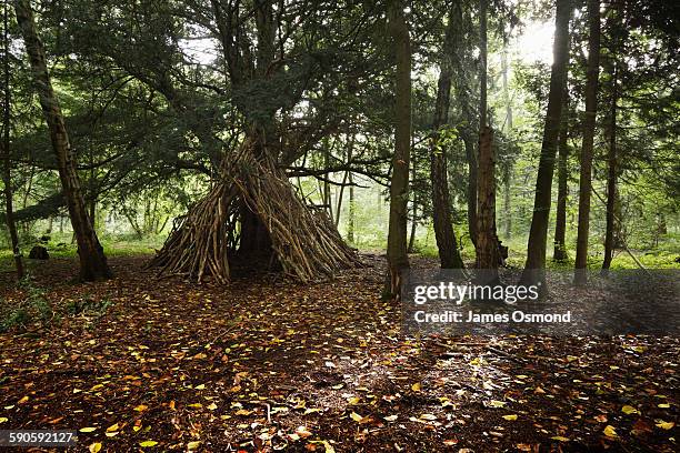 bivouac - coping stock pictures, royalty-free photos & images
