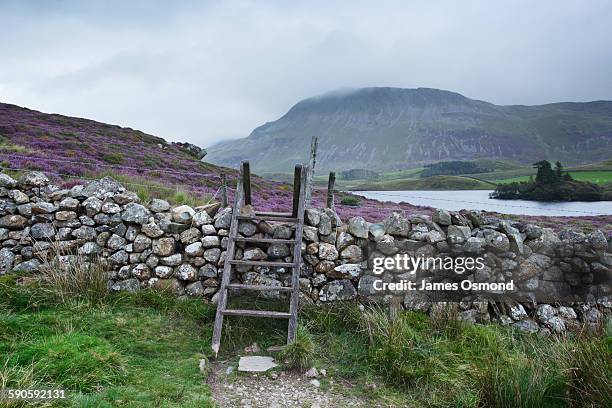 Stile Ladder Stile Fotografías e imágenes de stock - Getty Images