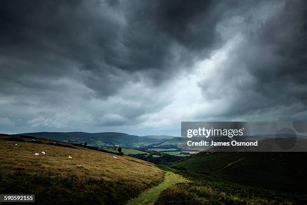 countryside and cloudy sky - bewolkt stockfoto's en -beelden