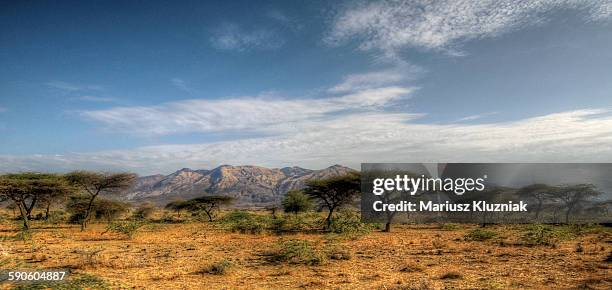 Awash Volcano 324 Awash Ethiopia Stock Photos, High-Res Pictures, and Images - Getty ...