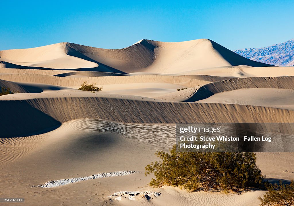 Sand Dunes in Death Valley Mesquite Flats