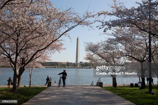 view of washington monument - the mall fotografías e imágenes de stock