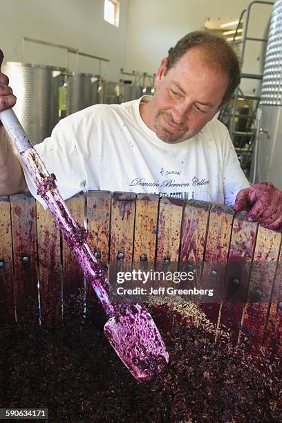 Michigan, Berrien Springs, Domaine Berrien Cellars, Pressing Grapes.