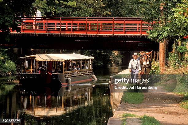 Pennsylvania, Bucks County, New Hope, Mule-Drawn Delaware Canal Boat Ride.