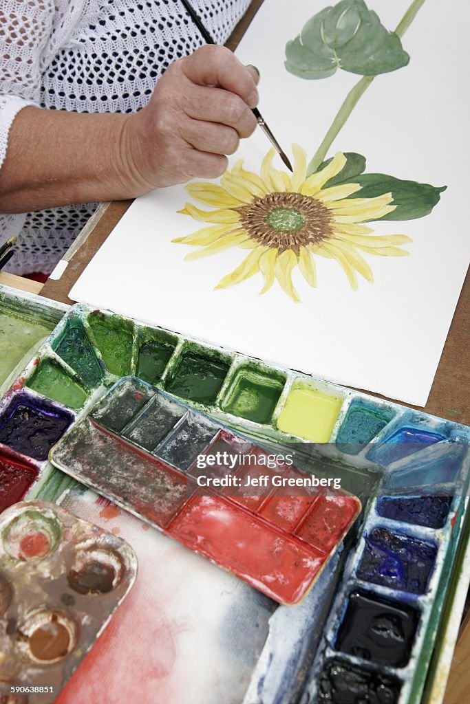 Painting Sunflower