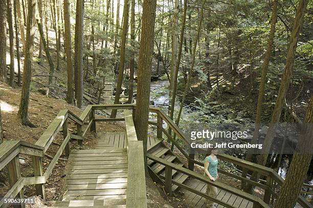 Pennsylvania, Pocono Mountains, Delaware Water Gap National Recreation Area, Childs Park, Boardwalk.