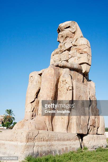 One Of The Colossi Of Memnon , Western Thebes, Qina, Egypt.