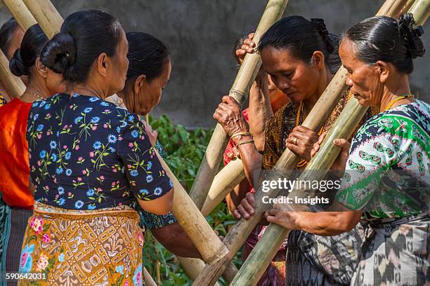Woman pounding rice at a rante, the ceremonial site for a Torajan funeral ceremony in Rantepao, Toraja Land, South Sulawesi, Indonesia.