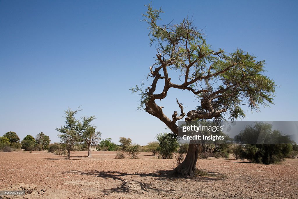 Djenne-Djeno Archaeological Site.