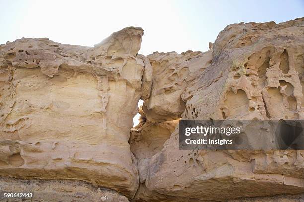 El Gusano Formation, Valle De La Luna , Ischigualasto Natural Park, San Juan, Argentina.